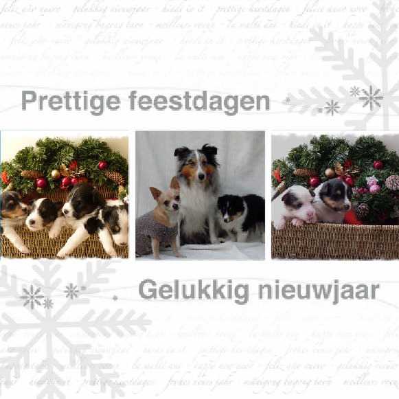 Fijne feestdagen iedereen!