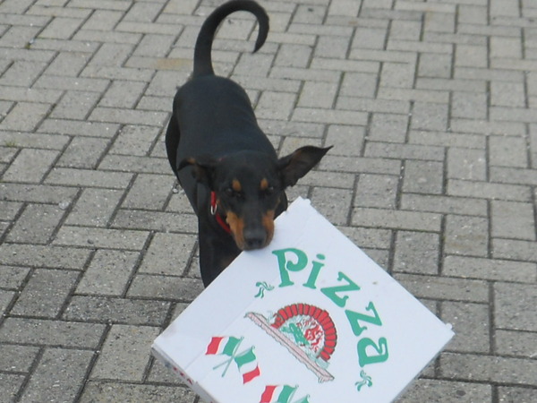 karton en papier buitenzetten