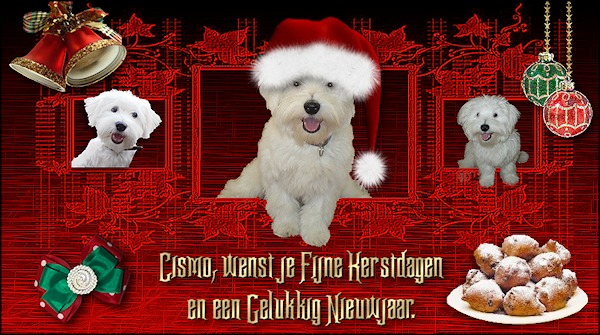 Cismo `s kerstkaart.