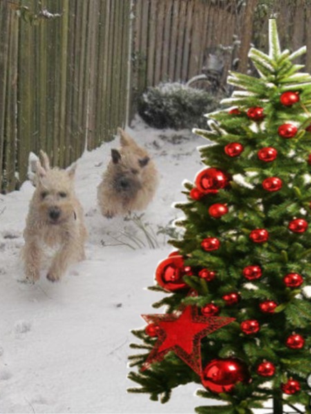 Cheyenne en Abbygail