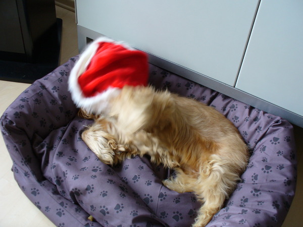 neen ze mogen mijn snoet niet zien :-)