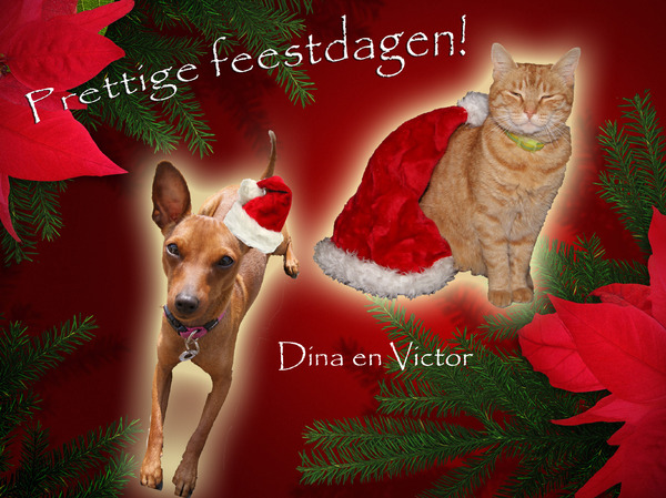 Prettige Feesten!
