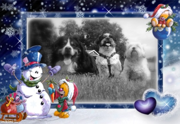 Djingo Boomer en Beertje