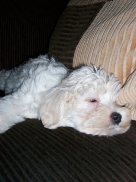 kaily eerste avond hier