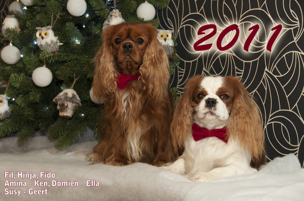 De lichtjes in mijn leven FIDO & HINJA