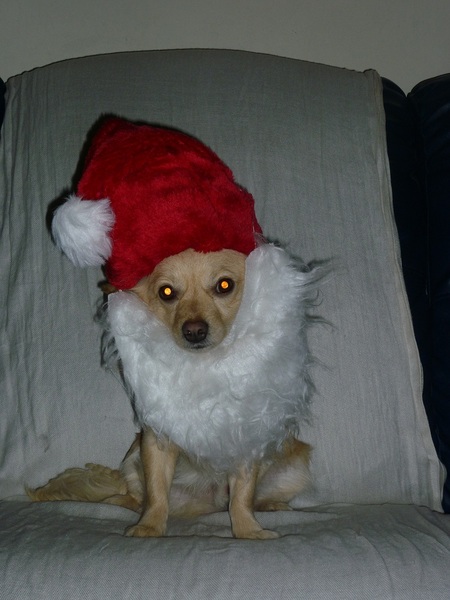 Ho ho ho, ik breng de botjes dit jaar !