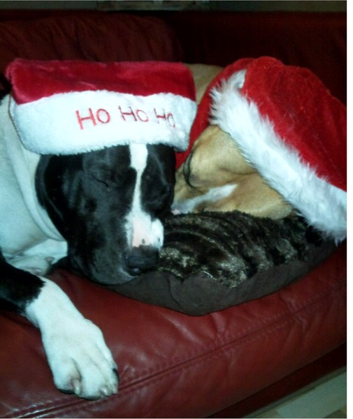 santa,s kerst hulpjes 