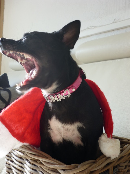 Luna word er moe van!