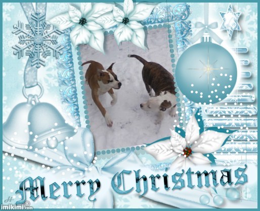 merry Christmas van chika & lady