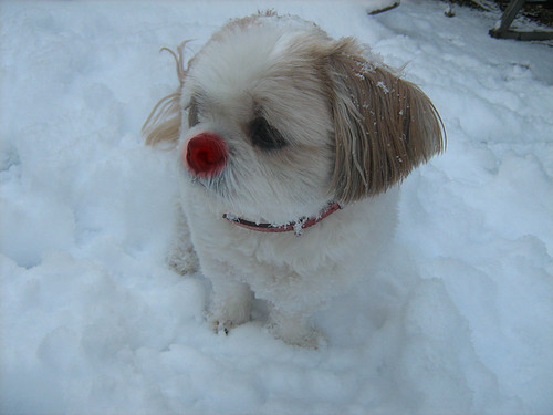 Rudolf