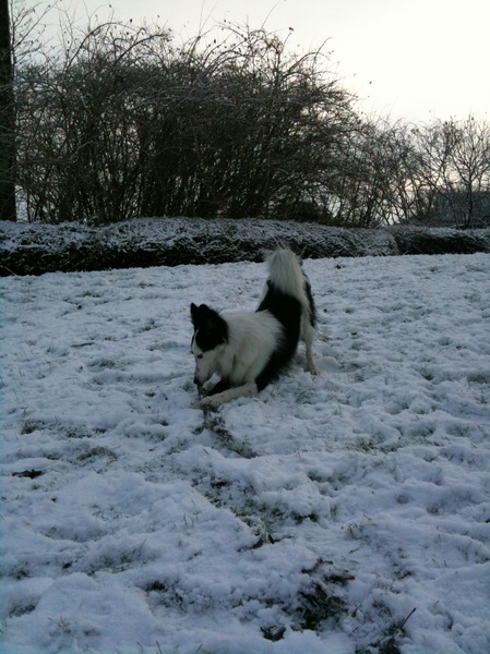 sneuwpret!