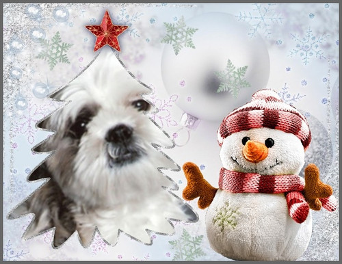 kyra