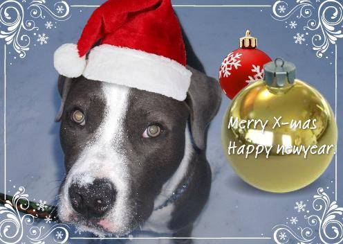 Diamond's Kerstkaart.