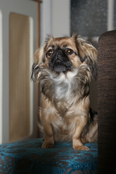 kijk mij zitten als koningin op mijn troontje...