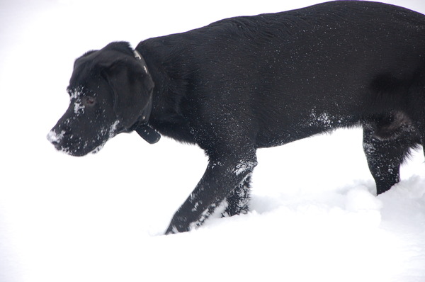 Ik ben zwart  eh.... wit , nee niet zwart wit.