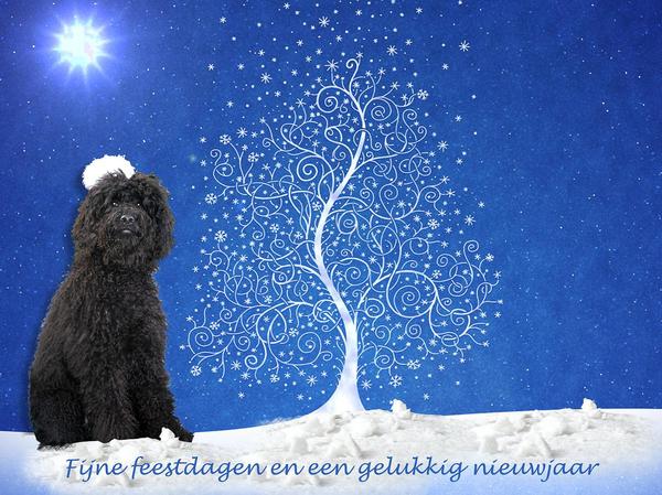 Google's eerste kerst (1)