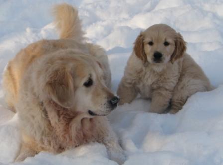 samen in de sneeuw
