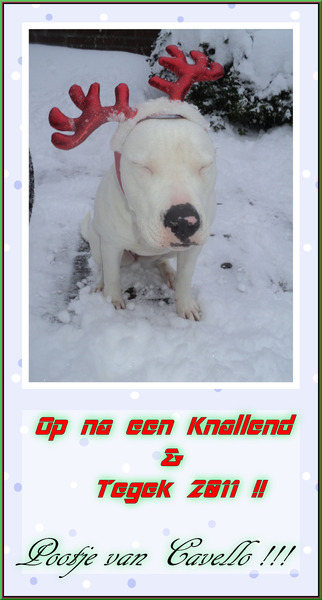 Happy Newyear your all  !!!