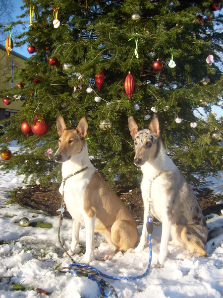 Kerst 2010