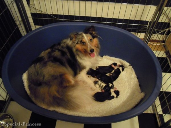 Ons 2e nestje net geboren