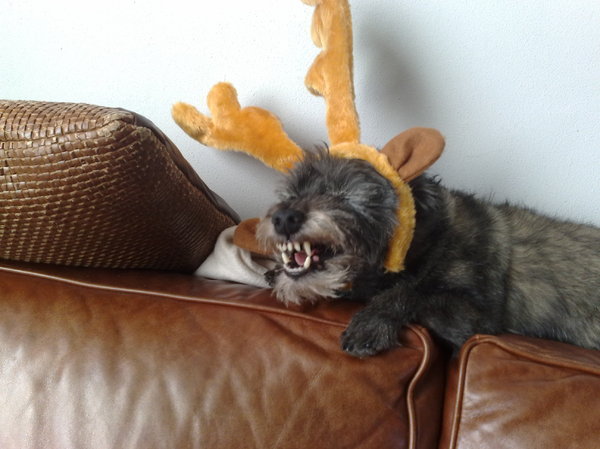 Chelsea in de kerstsfeer van 2010.