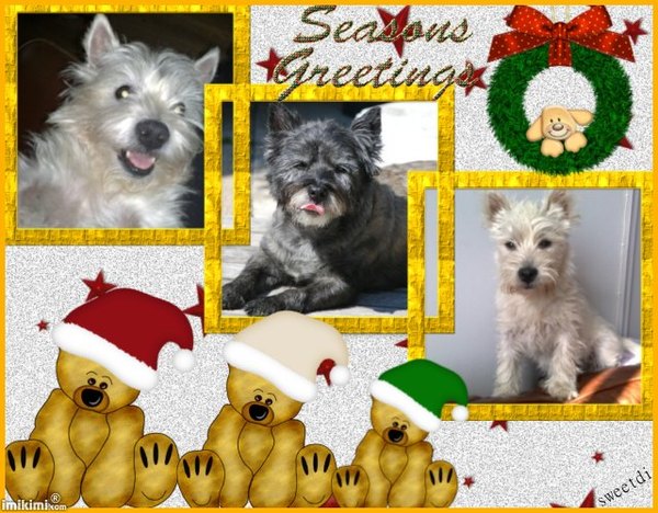 Kerst foto van Iggy+, Chelsea en Amy.