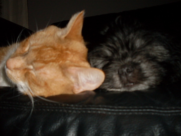 Lekker warm met mijn beste maatje op de bank