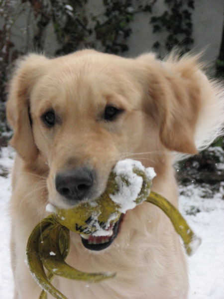 Rennen naar de baas!