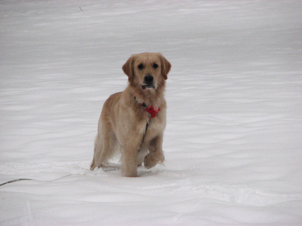 Koud voetje of... wat is dat baas?!