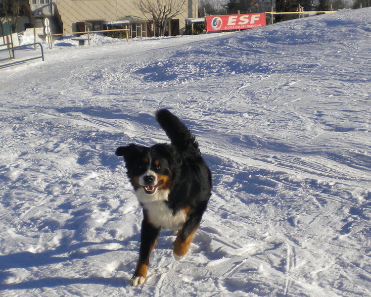 Lang leve de fun !!!