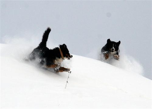Skipiste alleen voor ons zelf