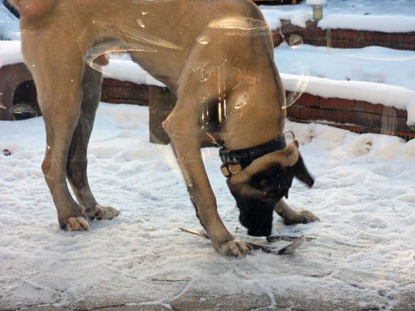 de eerste sneeuw in mijn leven