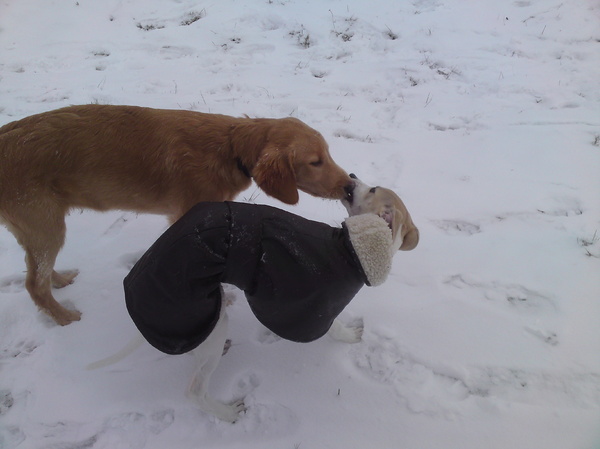 Even kussen tussen het spelen door