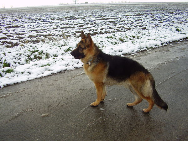 mijn allereerste sneeuw