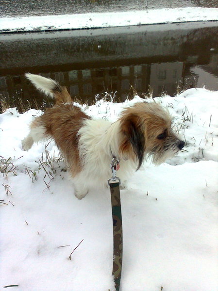 Ook in de sneeuw vindt ik mijn plekjes