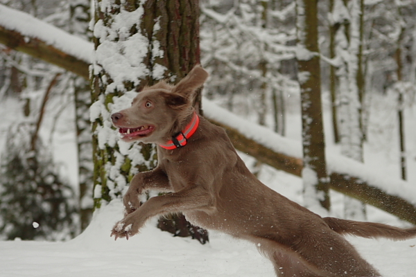 Oei misschien kan ik er nog bij