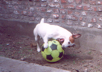 Ook een grote bal kan ik aan