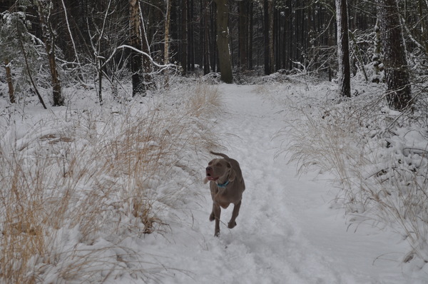 Fenna is gek op sneeuw