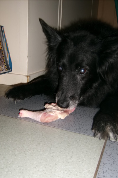 samira met een lekkere kippepoot