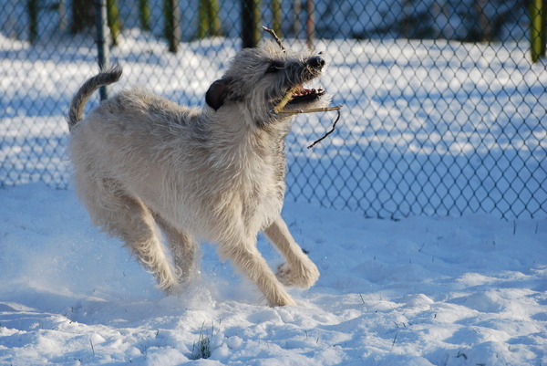 Jippie, eindelijk weekend.