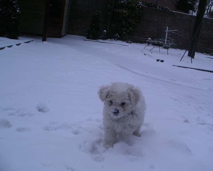 Nousya lekker in de sneeuw