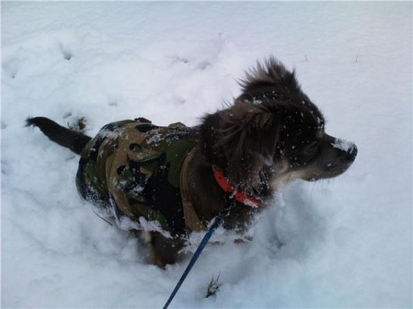 Alles onder de sneeuw