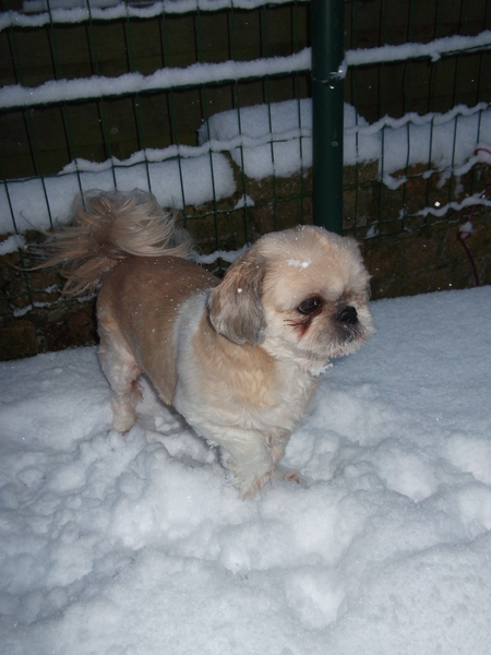 onze kleine meid in de sneeuw