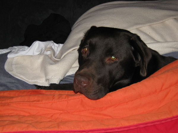 Lekker op het grote bed