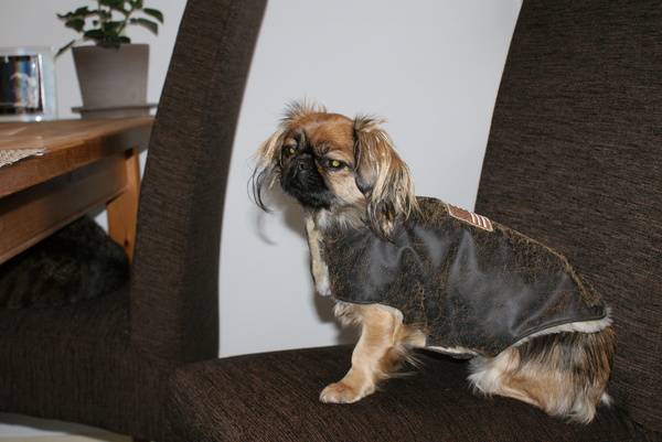 kijk mij eens met mijn stoere pilotenjack!