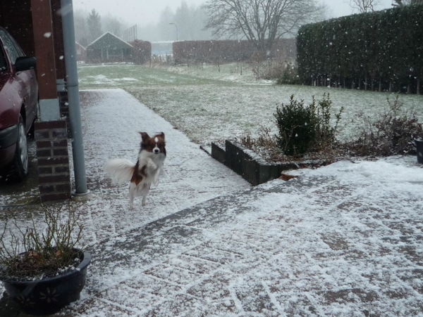 super blij met de sneeuw!