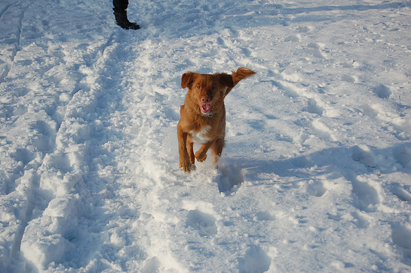 Big smile sneeuwpret