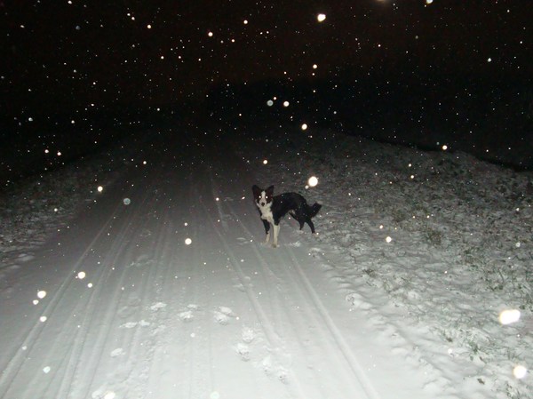 Dirk kan er geen genoeg van krijgen!