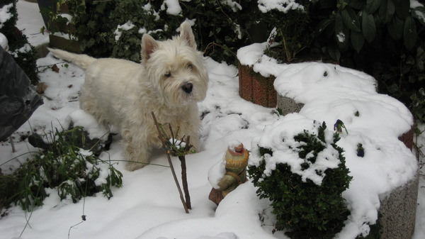 Eten ,moet ik nu al naar binnen ?