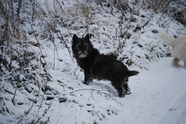 Dit is onze Chelsea.